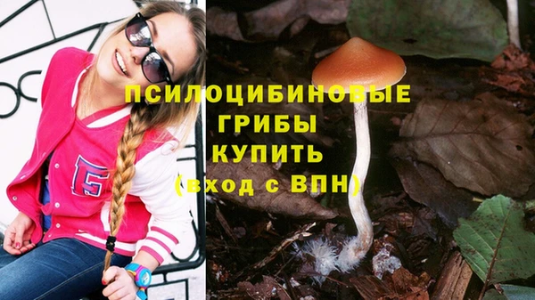 не бодяженный Кодинск