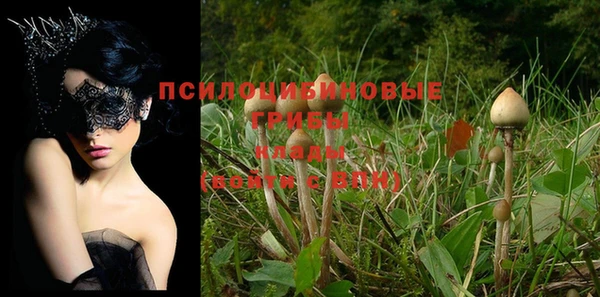 тгк Козловка