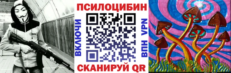 Псилоцибиновые грибы Cubensis  Купить закладки  Высоковск 